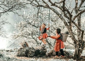 Du lịch Mộc Châu, khám phá vẻ đẹp ấn tượng của thung lũng mận Nà Ka Du lịch Mộc Châu, khám phá vẻ đẹp ấn tượng của thung lũng mận Nà Ka